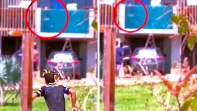 పారదర్శక బాల్కనీలోని లోతైన కొలనులో జనసమూహం చూస్తుండగా జంట శృంగారం చేస్తున్న వీడియో వైరల్ అయ్యింది!